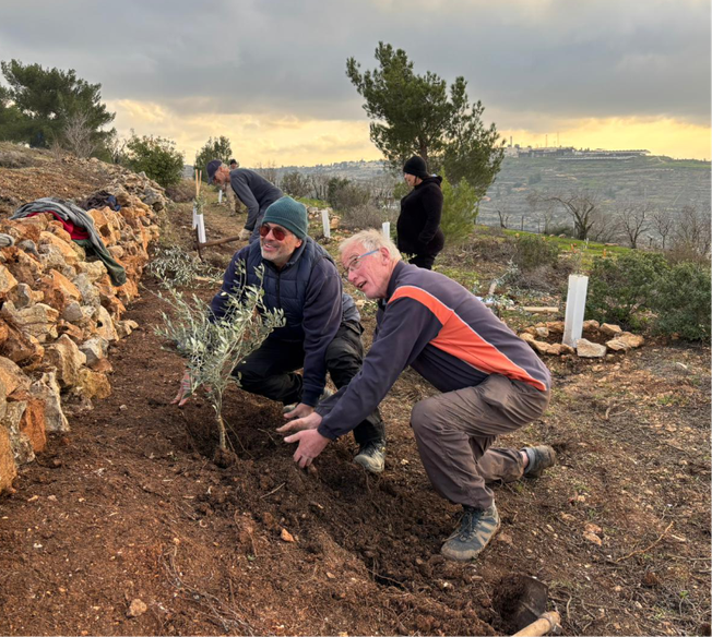 Volunteers removing shrubbery at the Tent of Nations farm