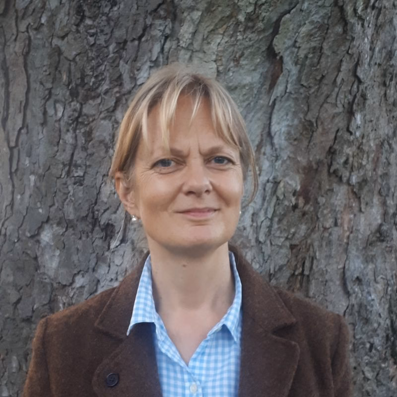WOODHEAD_Linda_e40f7e4e41701c51cac4d03b4f5452f0-800x800